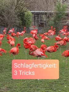 Sigrun Dahmer Schlagfertigkeit